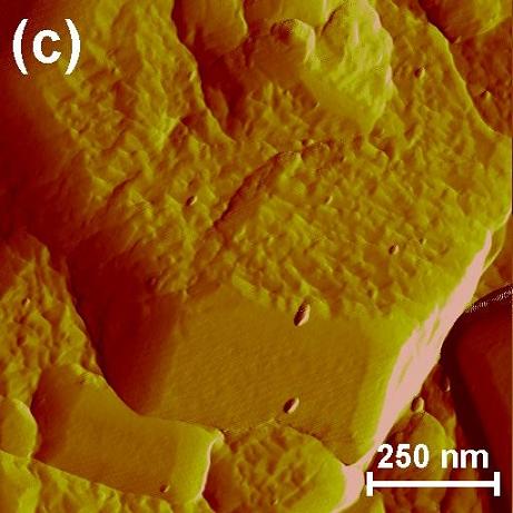 Focus on a smooth - durable area. All photos: Technion laboratories