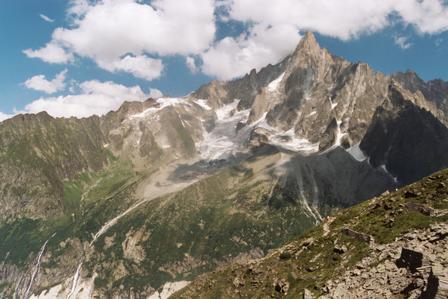 Chamonix Valley in the French Alps. The grasses adapt