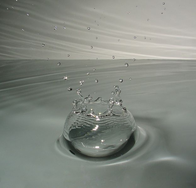 a drop of water