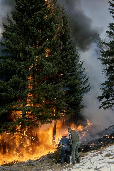 שריפת יער. גם אנשי הדת צריכים לחשוש משינויי האקלים. צילום: שמורת ילוסטון