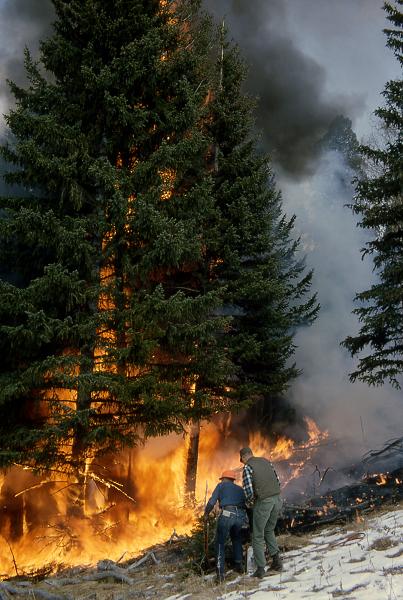 Forest fire. The clergy should also fear climate change. Photo: Yellowstone National Park