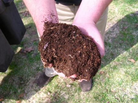 compost. Photo by Anne Norman, (Creative Commons)