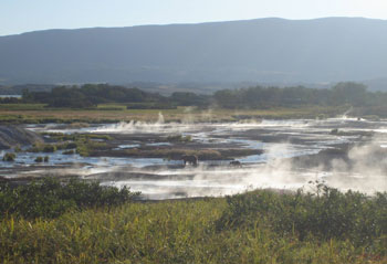 השדה התרמי  המזרחי של לוע הר געש בקמצ'טקה רוסיה, בו נתגלו אורגניזמים המייצרים מימן. (צילום: אליזבת בונץ'-אוסמולובסקיה, האקדמיה הרוסית למדעים)