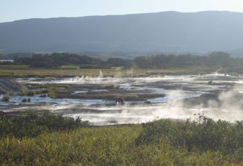 The eastern thermal field of the crater of a volcano in Kamchatka, Russia, where hydrogen-producing organisms were discovered. (Photo: Elizabeth Bunch-Osmolovsky, Russian Academy of Sciences)