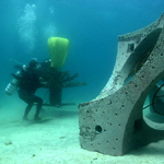 Planting artificial corals in Eilat