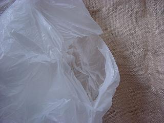 plastic bag. The peak of pollution.