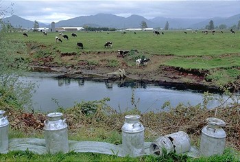 Mikve water in Israel. Photo: Tel Aviv University