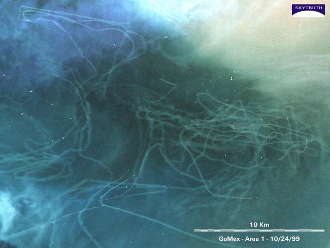 Trawl marks in the Gulf of Mexico - as photographed by the Landsat satellite