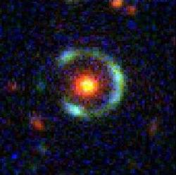 צילום: SDS  צילום: SDS