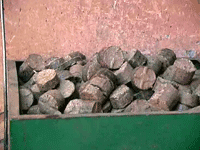 Bio mass bricks