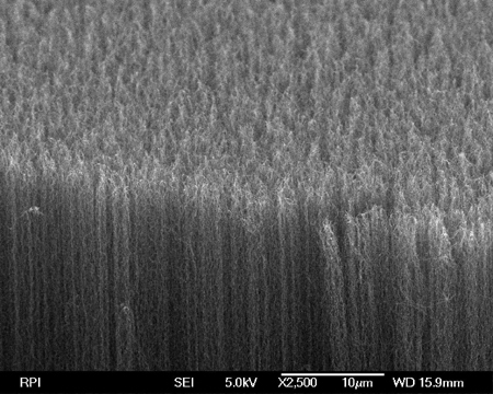 A substrate to which vertical carbon nanotubes were attached