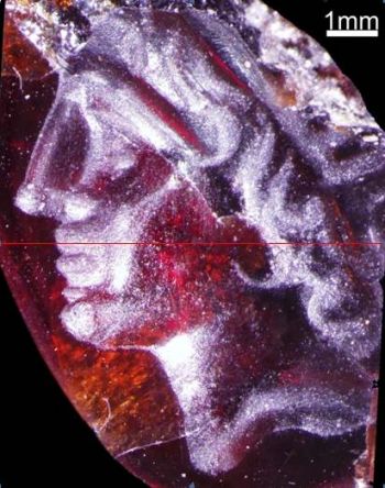 הגמה של אלכסנדר הגדול, צילום באמצעות בינוקולר, משלחת חפירות תל דור