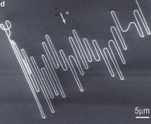 Nanotubes arranged in a curved structure, as seen in a scanning electron microscope. The red arrow indicates the direction of the gas flow. The blue arrow marks the direction of the steps in the size of single atoms