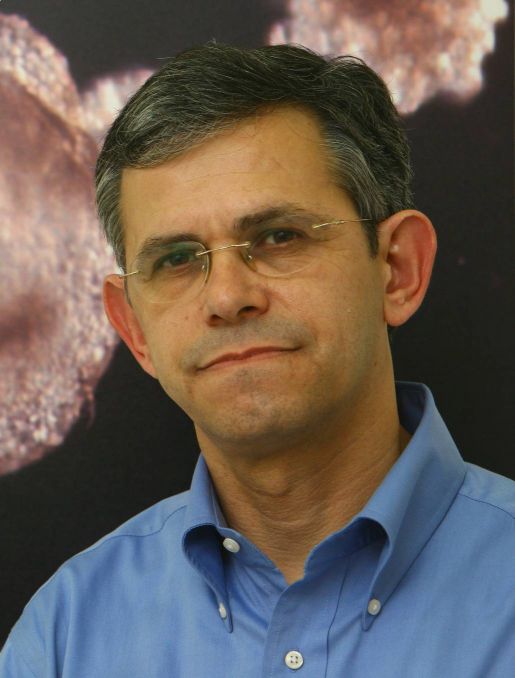 פרופ' נסים בנבניסטי