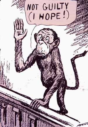 קריקטורה של קוף מעיד במשפט הקופים, משנת 1925. זכויות היוצרים פגו