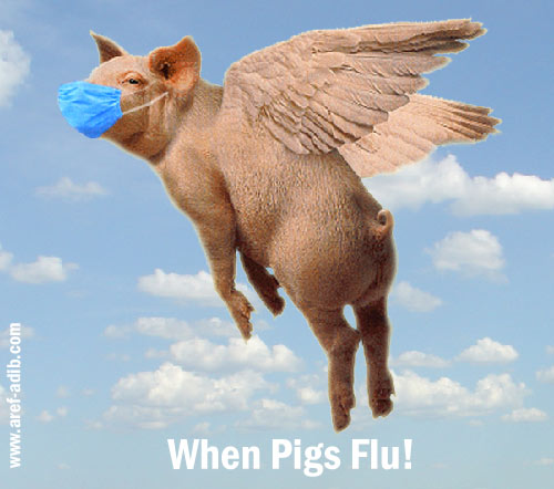 Swine flu is spreading. Illustration - mehrdad Aref-Adib, Lunodon. see link below see link at the bottom of the article