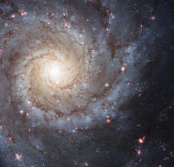 הגלקסיה M74. מקור: האבל, נאסא.