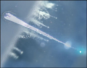 Dust particles caught in an aerogel substrate, a material containing glass bubbles packed inside the Stardust spacecraft for the purpose of collecting particles from the tail of Comet Wilde. 2