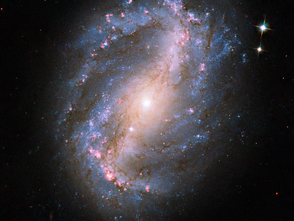 Galaxy NGC 6217 as imaged by the Hubble Space Telescope, 2009