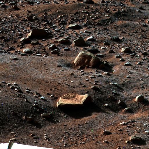כפור על מאדים, כפי שצולם בידי הפיניקס ב-14 באוגוסט 2008.