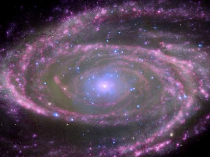 הגלקסיה M81. צילום: נאס'א