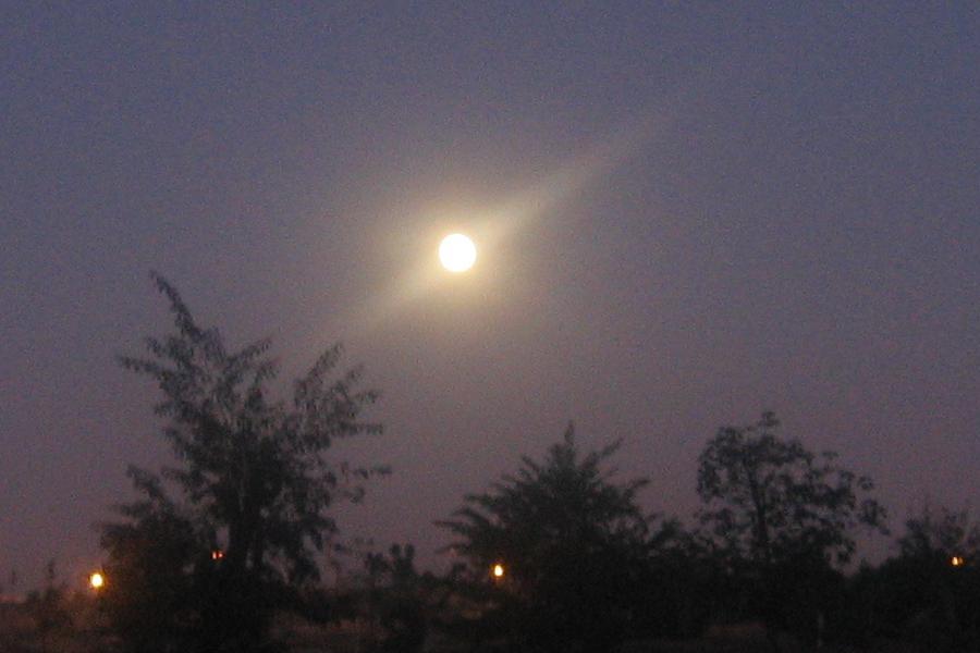 הירח זמן קצר לאחר הזריחה, יום ו' 12/12/08, שעה 16:58, צפונית לרמת אביב ג', במצלמת קנון A95. צילום: אבי בליזובסקי