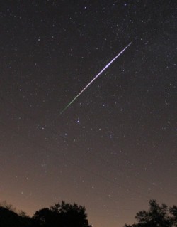 A meteor at a speed of 51 km per second, from the Perseid shower of the previous summer. Chuck Hunt