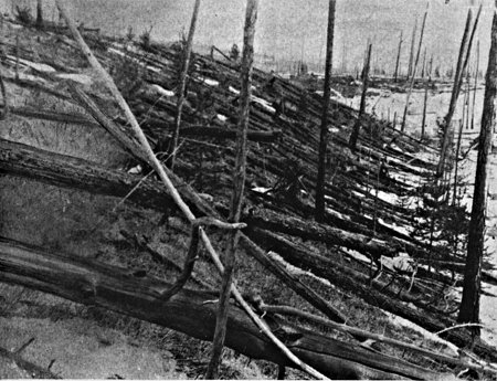 בתמונה: עצים נפלו בעקבות ההתפוצצות בטונגוסקה. צילום: משלחתו של ליאוניד קוליק