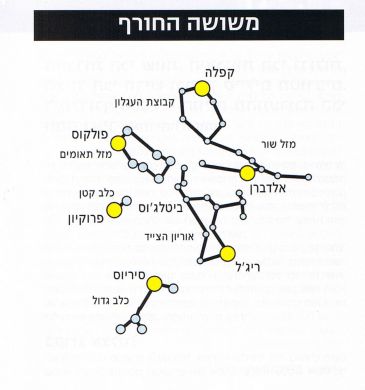 משושה החורף איור: אמיר גור משושה החורף איור: אמיר גור