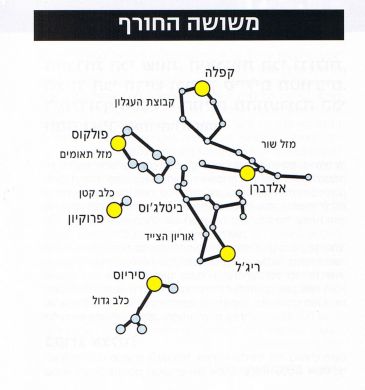 משושה החורף איור: אמיר גור