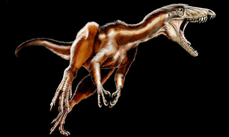 tawa hallae - probably one of the first dinosaurs, 213 million years old, roamed when Pangea was still united