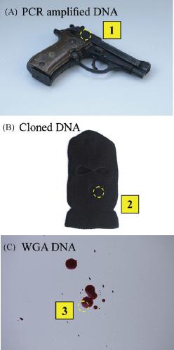 קטע מתוך המחשה המתלווה לגרף ובו מאפיינים כימיים של DNA טבעי לעומת DNA מלאכותי, מתוך המאמר אוטנטיקציה של דגימות DNA