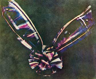 תמונת הצבע הראשונה בהיסטוריה, 1861. מקסוול הפיק אותה באמצעות צילום האובייקט שלוש פעמים דרך שלושה מסנני צבע שונים