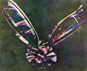 The first color photo in history, 1861. Maxwell produced it by photographing the object three times through three different color filters