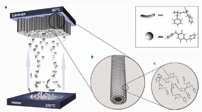 How are protein nanotubes organized? Illustration: Tel Aviv University. From the study