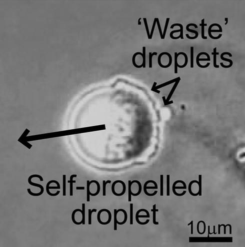 A figure illustrating the movement of cells