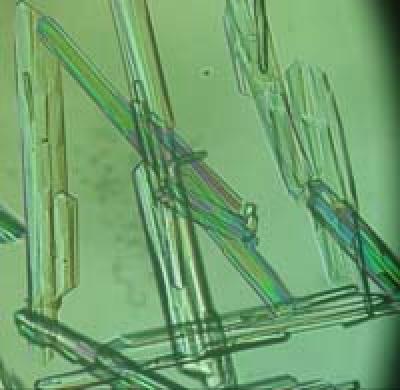 crystal growth. Photo: University of Leeds