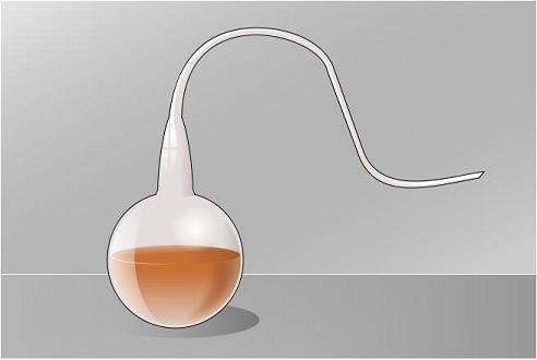 Pasteur's closed bottle experiment