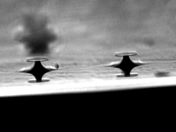 The ring optical resonators developed at CalTech are several times smaller in diameter than the thickness of a human hair. The photo shows two resonators, and the reflection of their image on the silicon chip below them