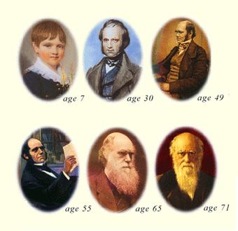 Darwin at different ages Illustration: darwin day website