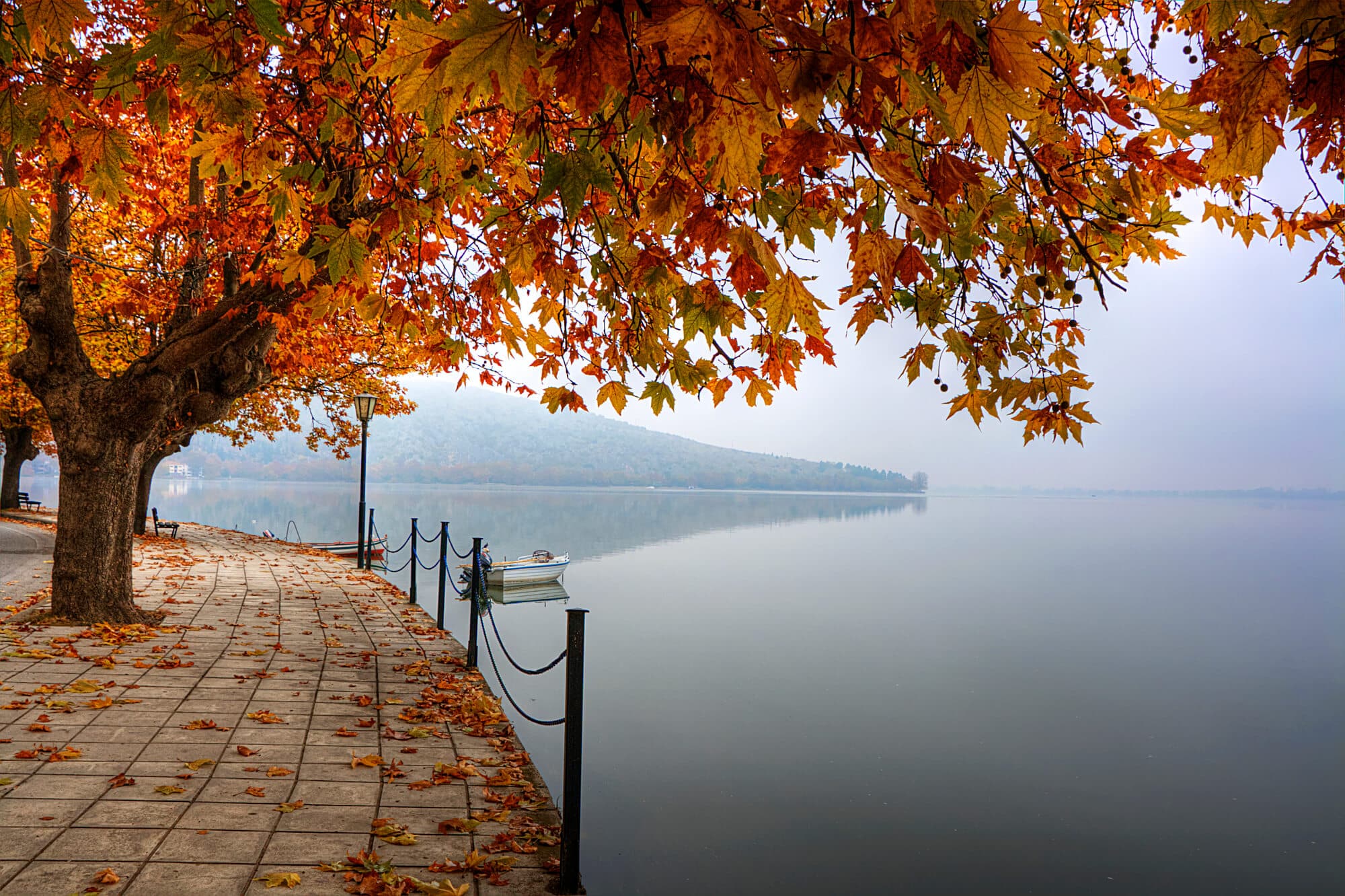 Autumn - the hallmark of autumn. Illustration: depositphotos.com