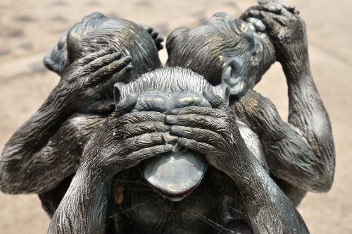 הכחשת האבולוציה - דוגמת פסלון שלושת הקופים. צילום: shutterstock