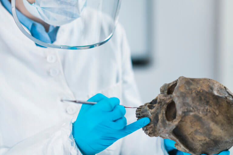 Technology in the archeology service, DNA testing for the skeleton. Illustration: depositphotos.com