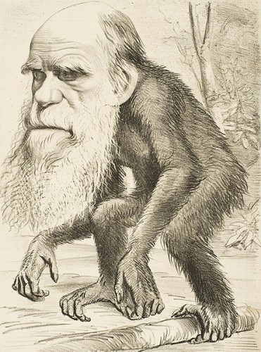 A 19th century cartoon depicting Darwin as a monkey