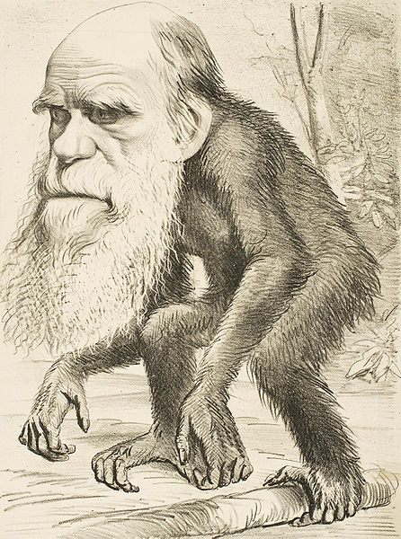 קריקטורה מהמאה ה-19 המתארת את דארווין כקוף