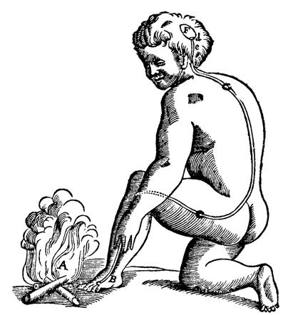 רפלקס הכאב. איור מתוך ספר צרפתי משנת 1664. מתוך ויקיפדיה