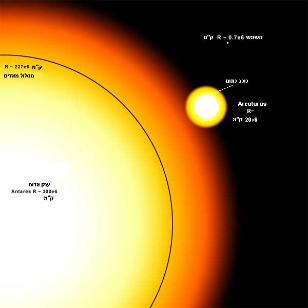 مقارنة بين الشمس والعملاق الأحمر. رسم توضيحي: المستخدم أفيعاد، ويكيبيديا العبرية