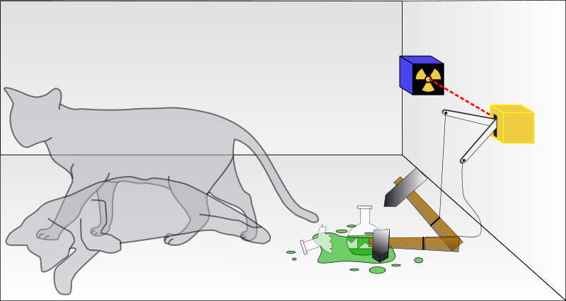 Schrödinger's cat. From Wikipedia