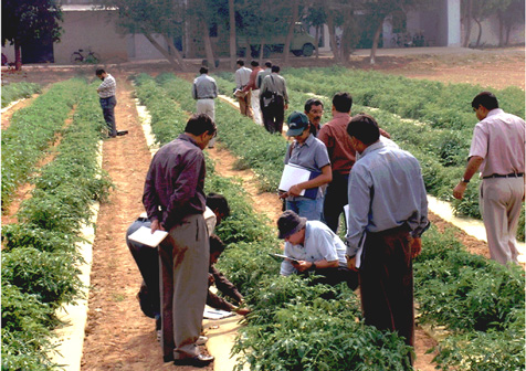 مزرعة إسرائيلية في الهند. الصورة: من موقع وزارة الخارجية