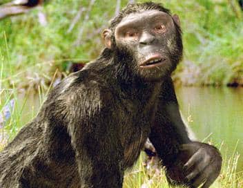 From the French film - The Odyssey of the Human Race